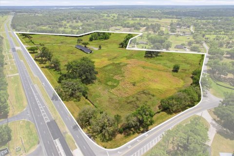 Land in Ocala, Florida № 2423796