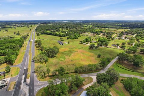 Land in Ocala, Florida № 2423796 - photo 4
