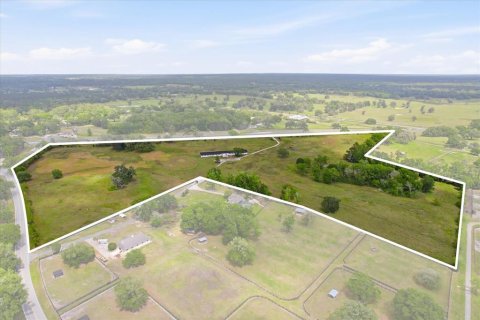 Land in Ocala, Florida № 2423796 - photo 2