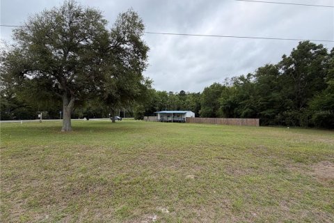 Immobilier commercial à vendre à Bronson, Floride: 76.92 m2 № 2093292 - photo 30
