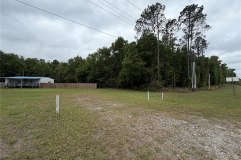 Immobilier commercial à vendre à Bronson, Floride: 76.92 m2 № 2093292 - photo 28