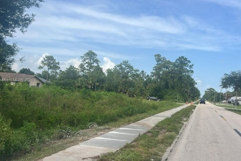 Land in Lehigh Acres, Florida № 2158591 - photo 5