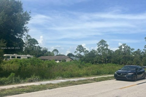 Land in Lehigh Acres, Florida № 2158591 - photo 3