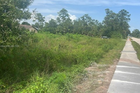 Land in Lehigh Acres, Florida № 2158591 - photo 4