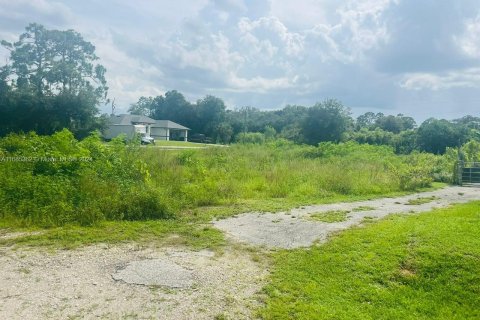 Land in Lehigh Acres, Florida № 2158591 - photo 2