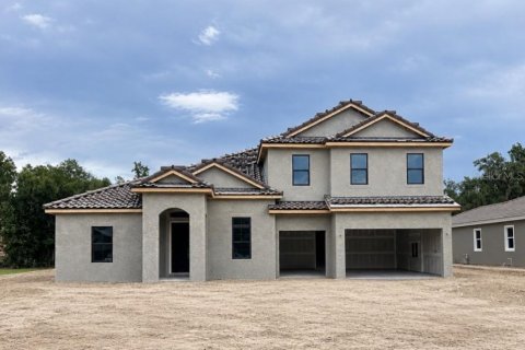 House in Fish Hawk, Florida 5 bedrooms, 427.54 sq.m. № 2236341 - photo 2