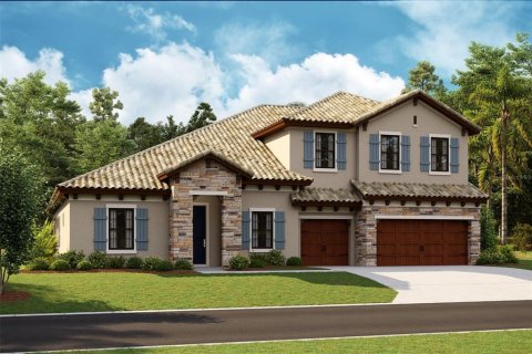 Villa ou maison à Fish Hawk, Floride 5 chambres, 427.54 m2 № 2236341