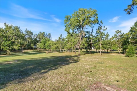 Land in Dunnellon, Florida № 1637846 - photo 14