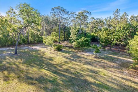 Land in Dunnellon, Florida № 1637846 - photo 15