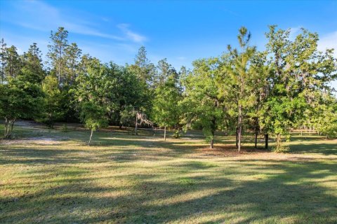 Land in Dunnellon, Florida № 1637846 - photo 10