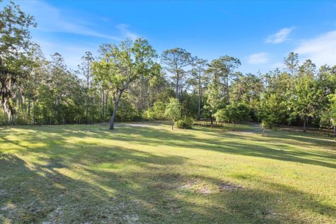 Land in Dunnellon, Florida № 1637846 - photo 9