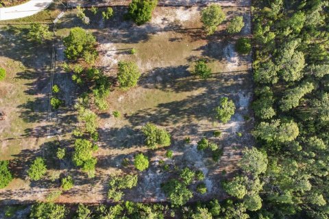 Land in Dunnellon, Florida № 1637846 - photo 17