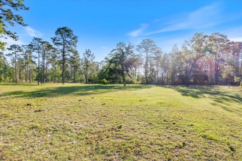 Land in Dunnellon, Florida № 1637846 - photo 11