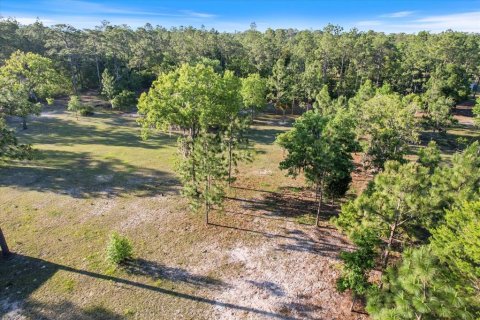 Land in Dunnellon, Florida № 1637846 - photo 4