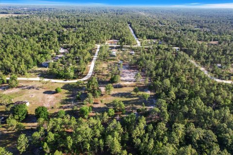 Land in Dunnellon, Florida № 1637846 - photo 7