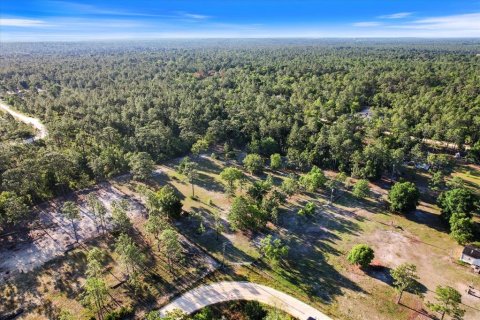 Land in Dunnellon, Florida № 1637846 - photo 2