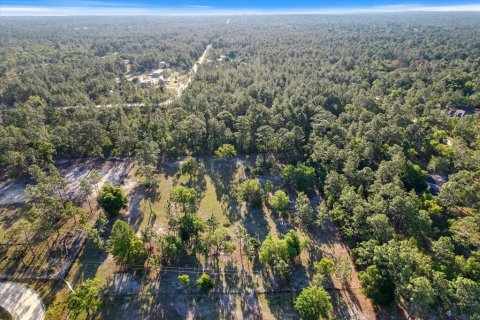 Land in Dunnellon, Florida № 1637846 - photo 19