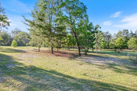 Land in Dunnellon, Florida № 1637846 - photo 16