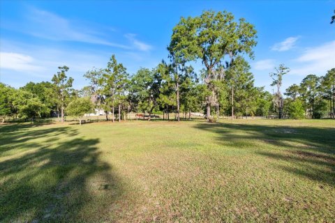 Land in Dunnellon, Florida № 1637846 - photo 8