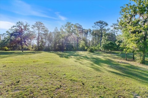 Land in Dunnellon, Florida № 1637846 - photo 12