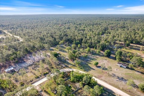 Land in Dunnellon, Florida № 1637846 - photo 3