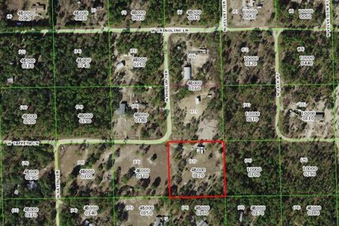 Land in Dunnellon, Florida № 1637846 - photo 6
