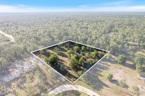 Land in Dunnellon, Florida № 1637846 - photo 1