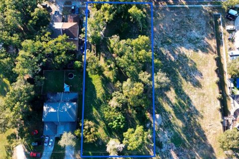Terreno en venta en Apopka, Florida № 2166818 - foto 3