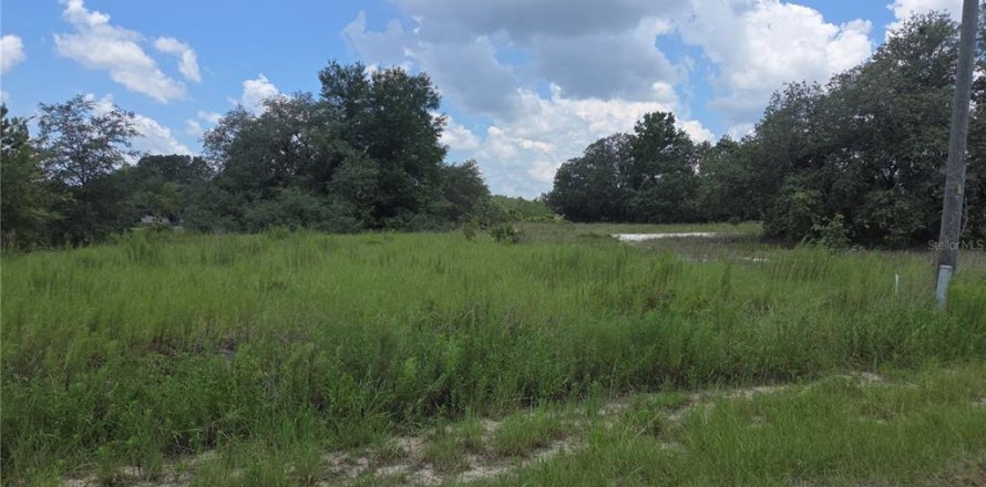 Terreno en Dunnellon, Florida № 2165279
