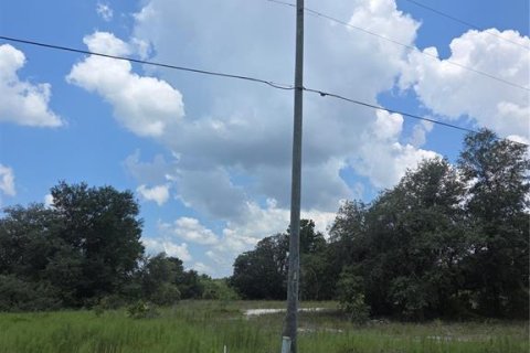 Terreno en venta en Dunnellon, Florida № 2165279 - foto 2