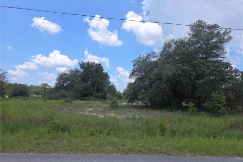 Terreno en venta en Dunnellon, Florida № 2165279 - foto 3