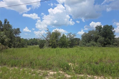 Terreno en venta en Dunnellon, Florida № 2165279 - foto 4