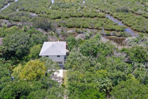 Купить виллу или дом в Флаглер–Бич, Флорида 8 комнат, 100.33м2, № 2341806 - фото 4