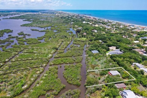 Villa ou maison à Flagler Beach, Floride 2 chambres, 100.33 m2 № 2341806