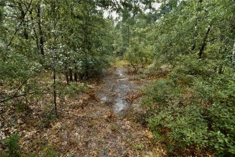 Land in Jasper, Florida № 2383399 - photo 29