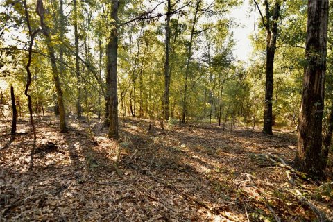 Land in Jasper, Florida № 2383399 - photo 30