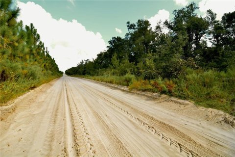Land in Jasper, Florida № 2383399 - photo 14