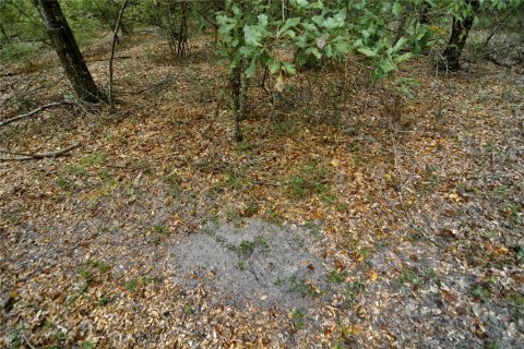 Land in Jasper, Florida № 2383399 - photo 10