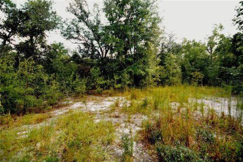 Land in Jasper, Florida № 2383399 - photo 3