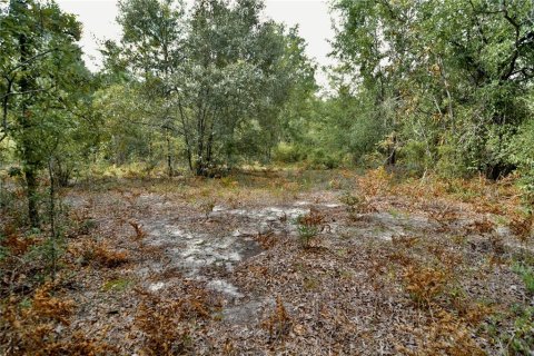 Land in Jasper, Florida № 2383399 - photo 17