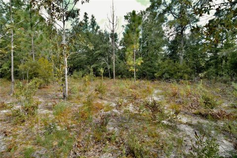 Land in Jasper, Florida № 2383399 - photo 28