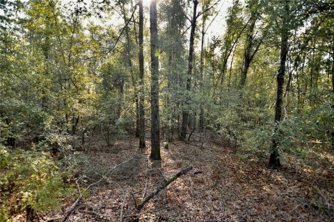 Land in Jasper, Florida № 2383399 - photo 18