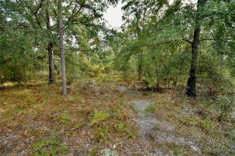Land in Jasper, Florida № 2383399 - photo 26