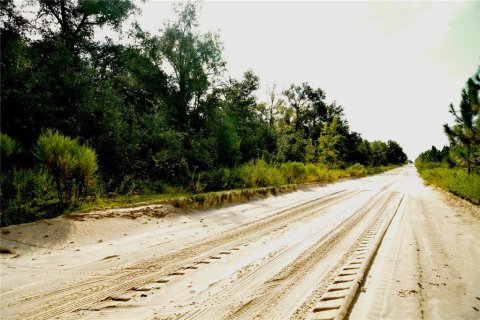 Land in Jasper, Florida № 2383399 - photo 13
