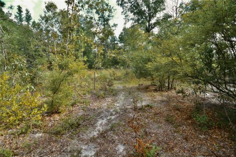 Land in Jasper, Florida № 2383399 - photo 25