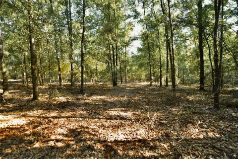 Land in Jasper, Florida № 2383399 - photo 2