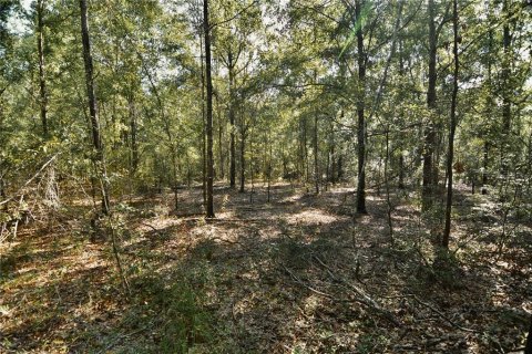 Land in Jasper, Florida № 2383399 - photo 24
