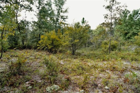 Land in Jasper, Florida № 2383399 - photo 27