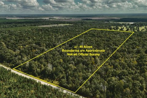 Land in Jasper, Florida № 2383399