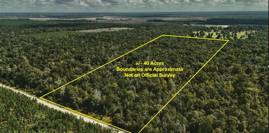 Land in Jasper, Florida № 2383399